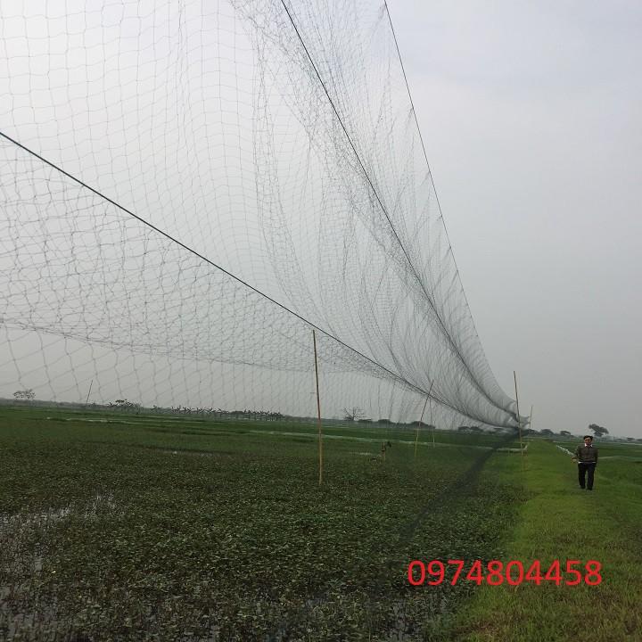 Lưới bẫy chim cò, Lưới được chia thành 5 dây 4 túi, loại 50m shop đã thu túi và chia 3 cọc.
