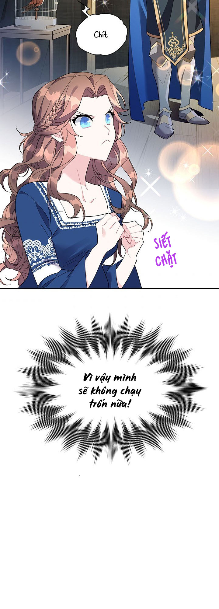 công chúa của loài chim chapter 10 28