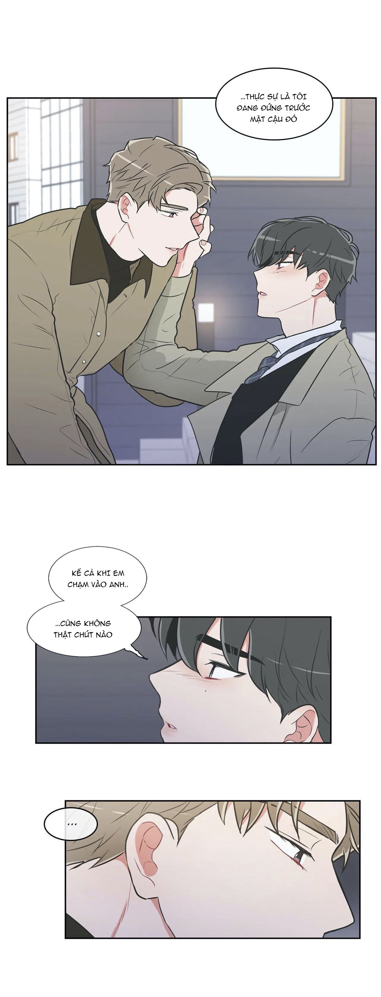 anti p.t chapter 19 24