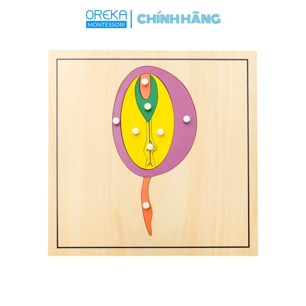 Đồ chơi trẻ em Oreka Montessori Ghép hình thực vật: Hạt - 0610500