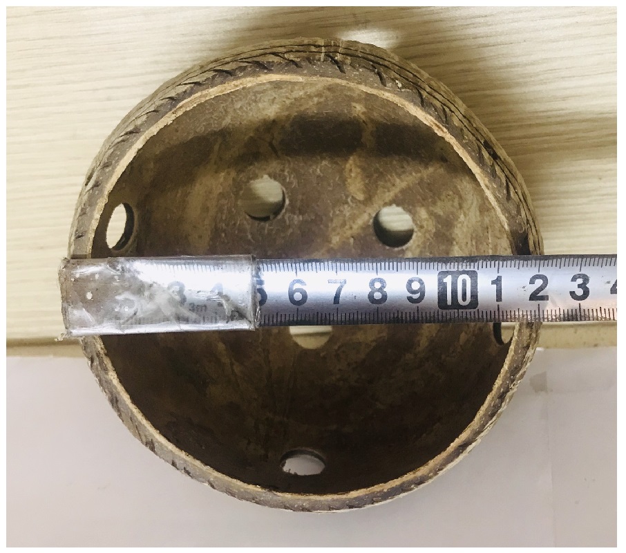 1 Gáo Dừa Trồng Hoa Cây Cảnh