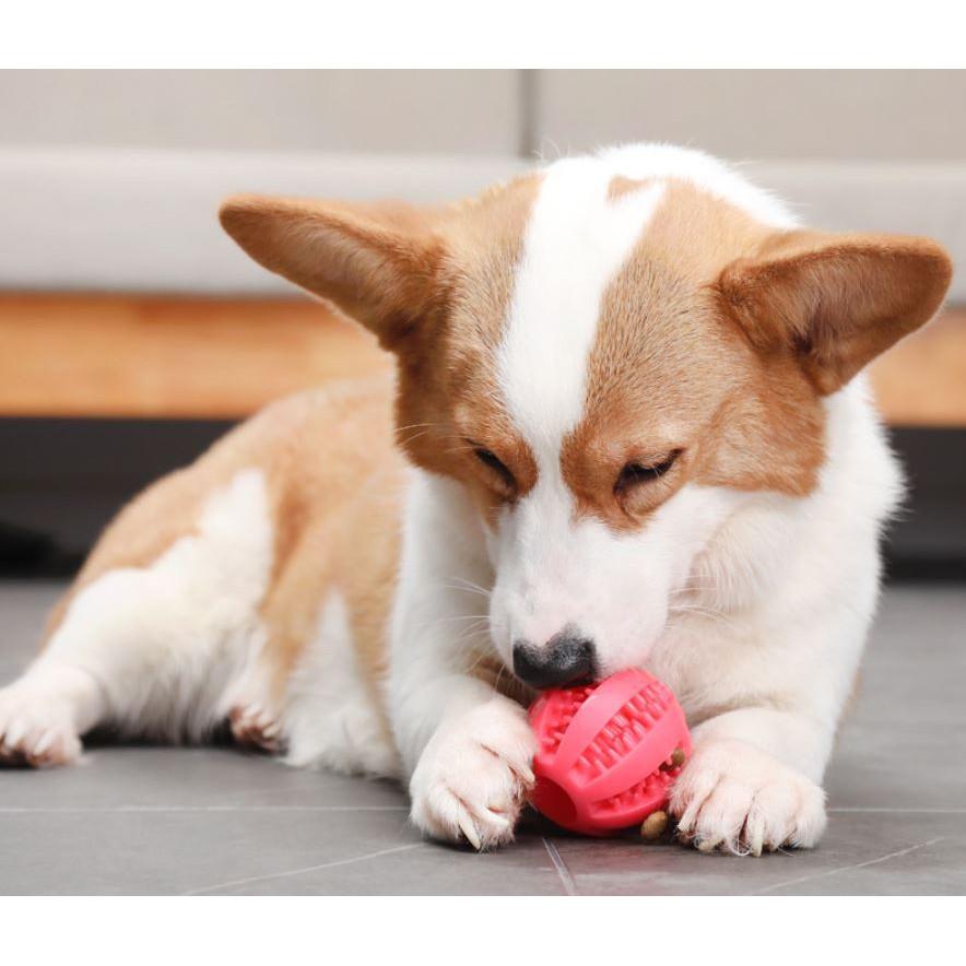 Bóng cao su 5cm đồ chơi cho cún ,bóng lấy cao răng cho cún