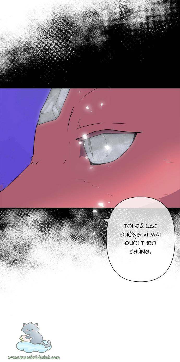 tôi đang nuôi dưỡng một con quái thú chapter 70 30