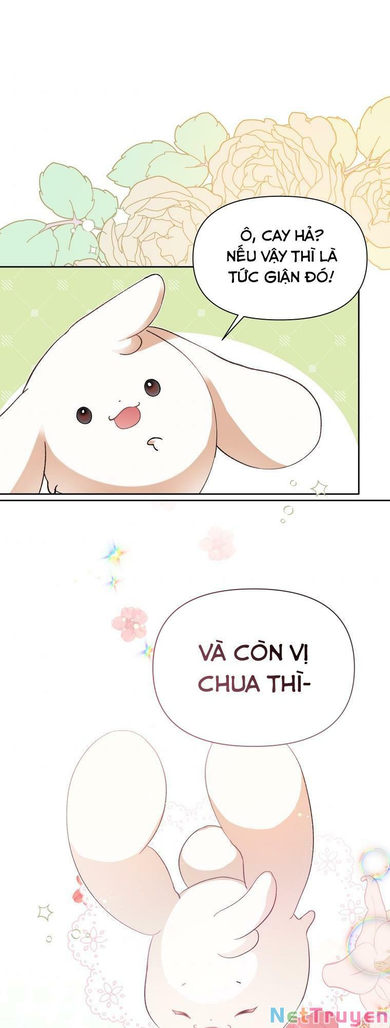 này tiểu công tước, hãy tin ở chị đi! chapter 11 37