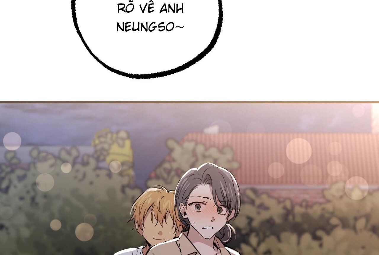 những chú thỏ của hapypy chapter 58 57