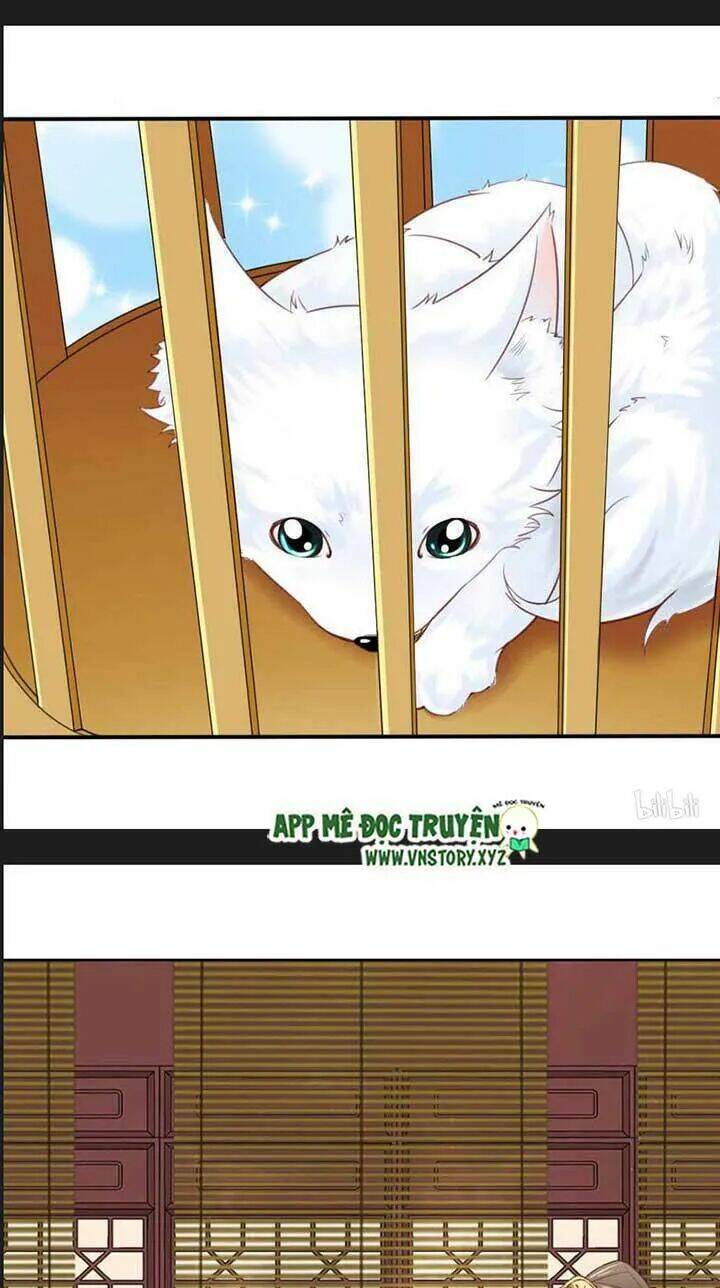 kiều nữ độc phi chapter 106 5