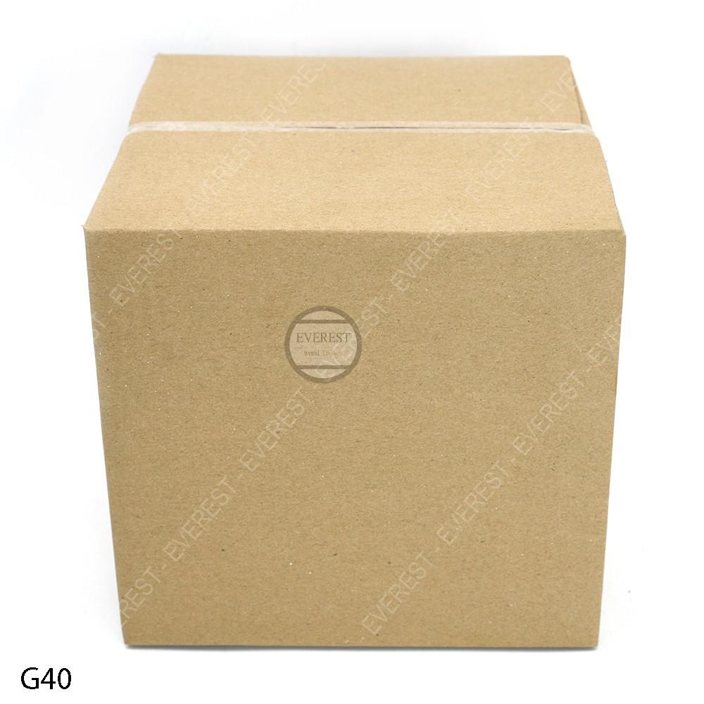 Combo 20 thùng G40 21x21x20 giấy carton gói hàng Everest