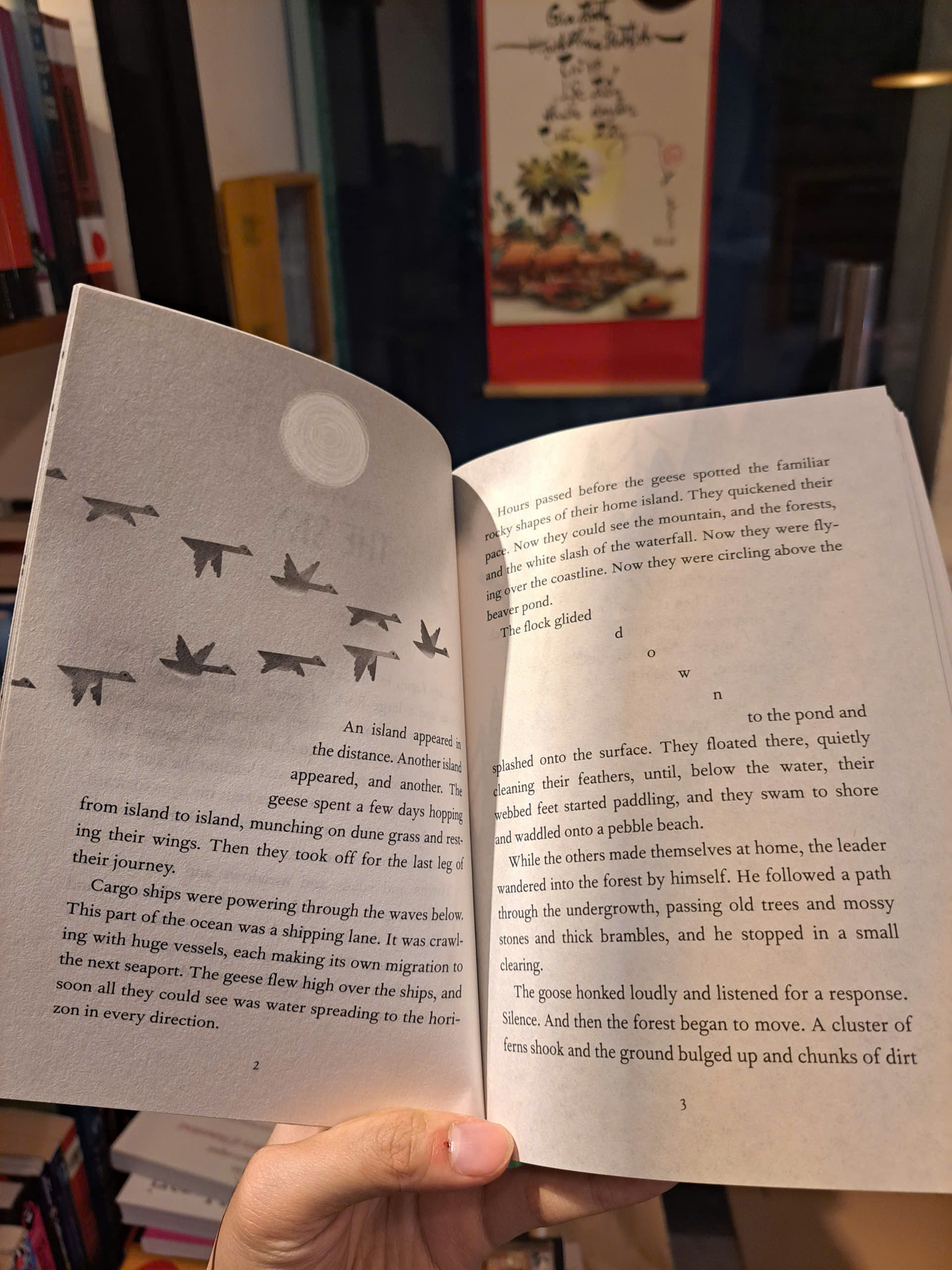 Sách - The Wild Robot Protects by Peter Brown | Children's Novel / Tiểu thuyết thiếu nhi tiếng Anh