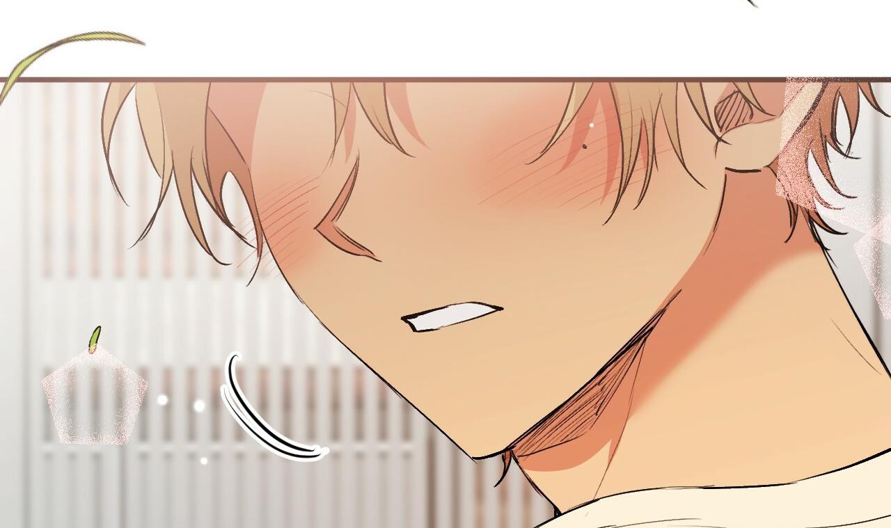 đàn thỏ của habibi chapter 44 250