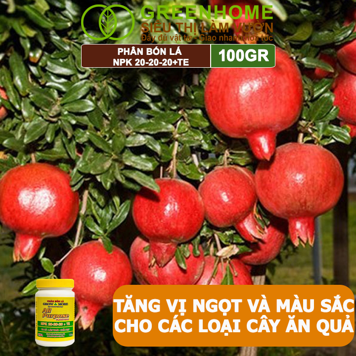 Phân Bón Lá Grow More NPK 20-20-20, GreenHome, Chai 100GR, To Củ, Lớn Trái, Chắc Hạt