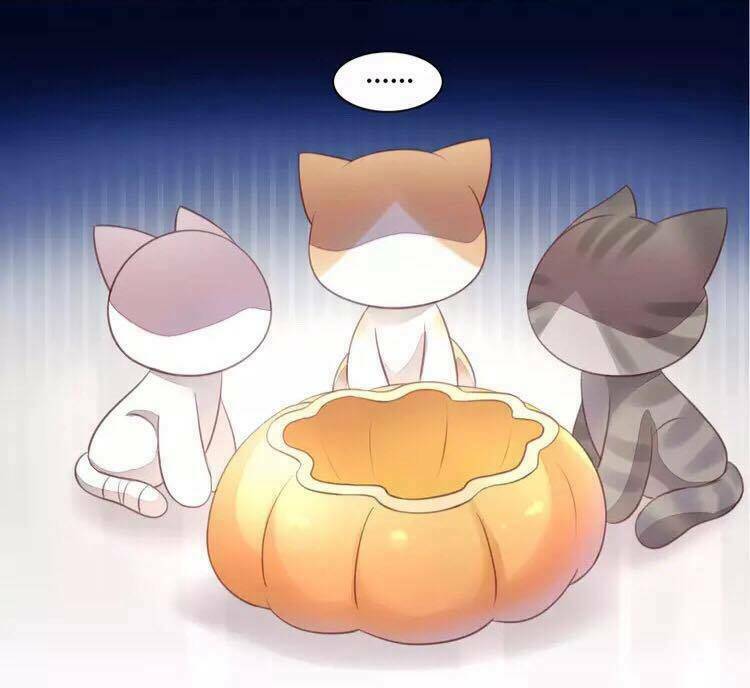 dưới móng vuốt mèo chapter 18 29