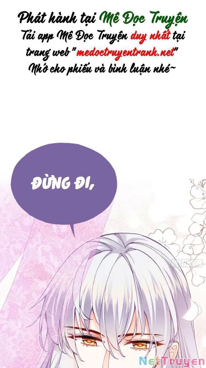 lại bị bệnh chiều chuộng quấn lấy chapter 27 50