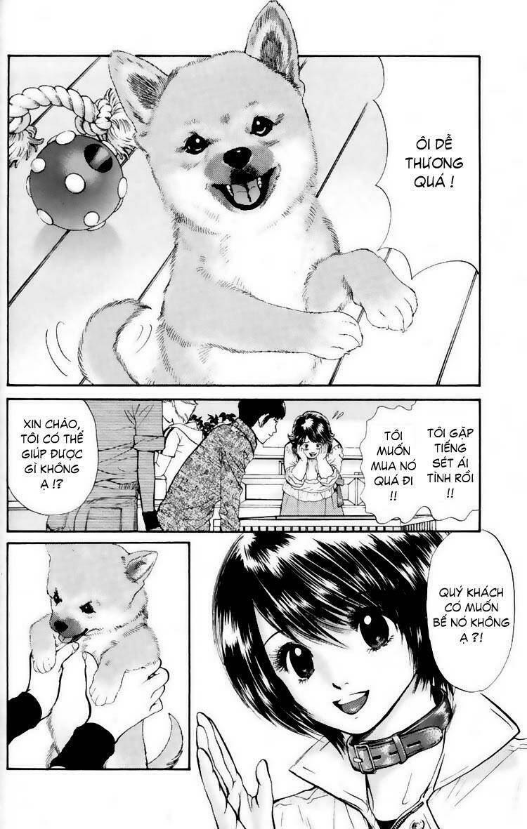 cô nàng yêu chó chapter 17 2