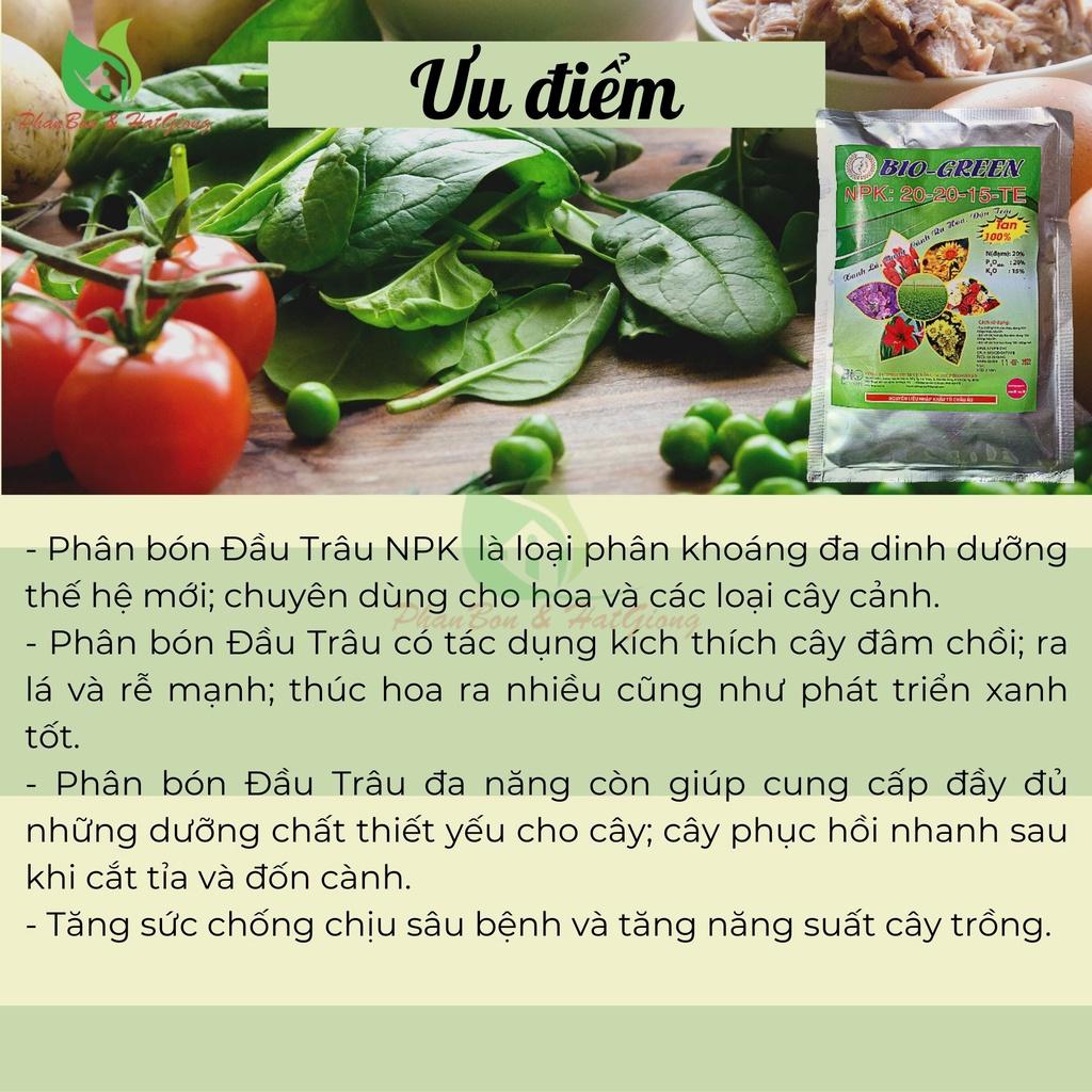 Phân Bón NPK 20 20 15 + TE BIO GREEN 500Gr Tan Trong Nước100% Chuyên Cho Hoa, Cây Cảnh Giúp Cây Ra Hoa, Hoa Đẹp, Lâu Tàn