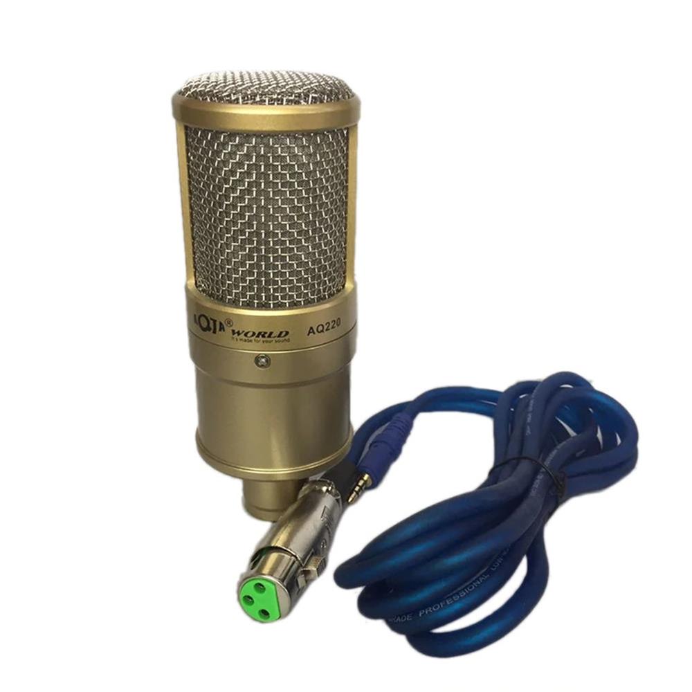 Micro Thu Âm AQTA AQ-220, Mic Thu Âm Karaoke Chuyên Nghiệp Mạ Nhôm Nguyên Chất,Độ Nhạy Cao, Tiếng Ồn Thấp Dành Cho Máy Tính, Điện Thoại, Sử Dụng Nguồn 5V-48V Kết Nối Các Loại Sound Card- Hàng Nhập Khẩu