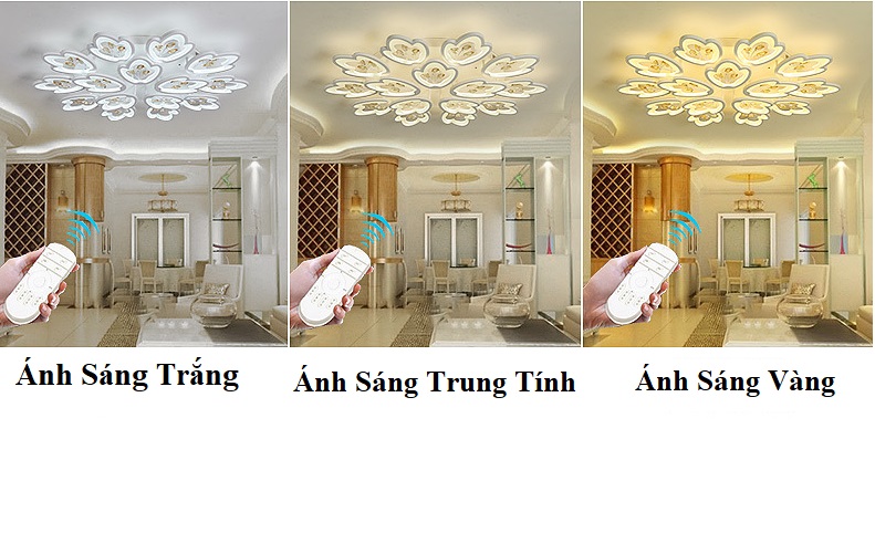 Đèn LED Ốp Trần Hình Hoa 15 Cánh NT024 - 3 Chế Độ Ánh Sáng - Tăng Giảm Ánh Sáng - Điều Khiển Từ Xa - Kết Nối Điện Thoại - Có Video