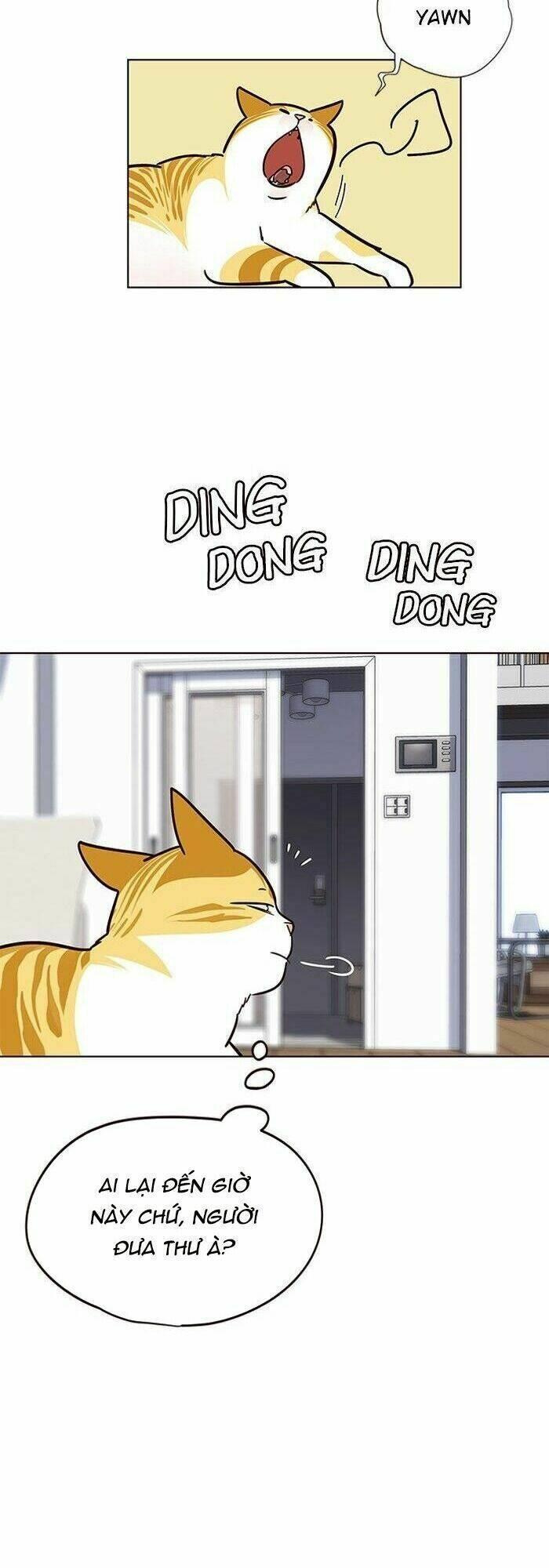 biến thân thành mèo chapter 57 46