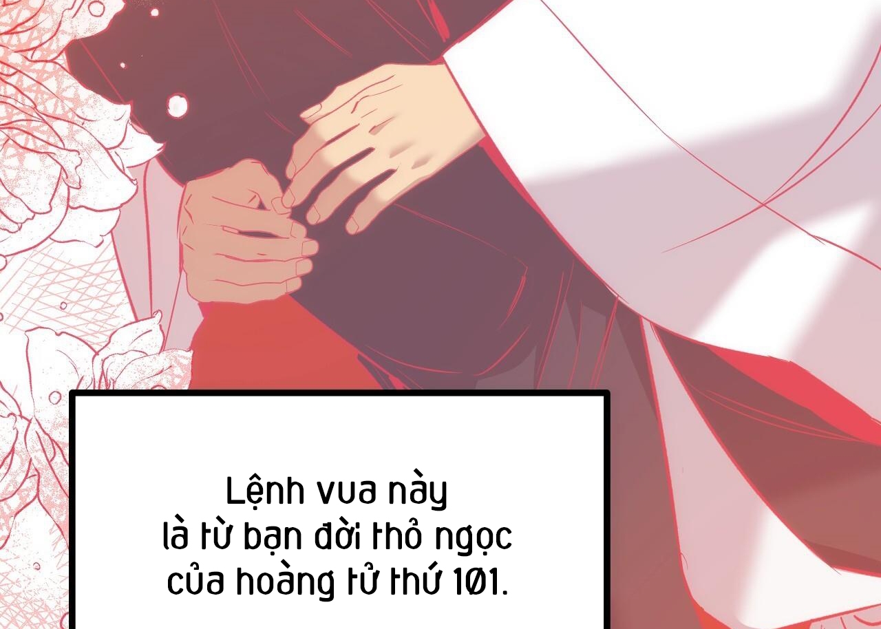 NHỮNG CHÚ THỎ CỦA HAPYPY chapter 63