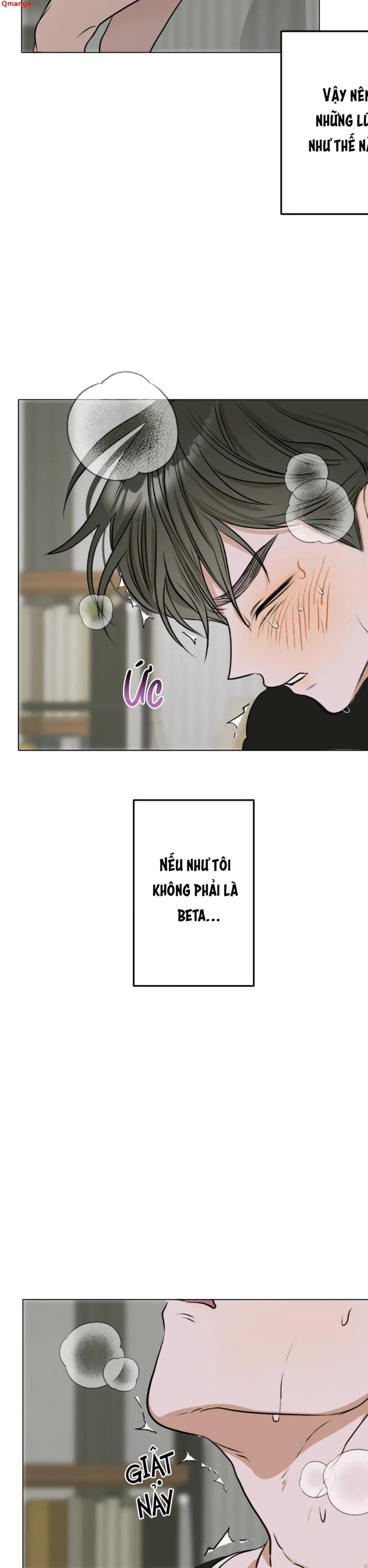 đoá hoa trên mặt hồ chapter 1 28