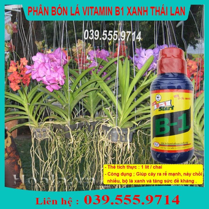 Vitamil B1 Thái Lan 1Lit  Kích thích phát triển cây