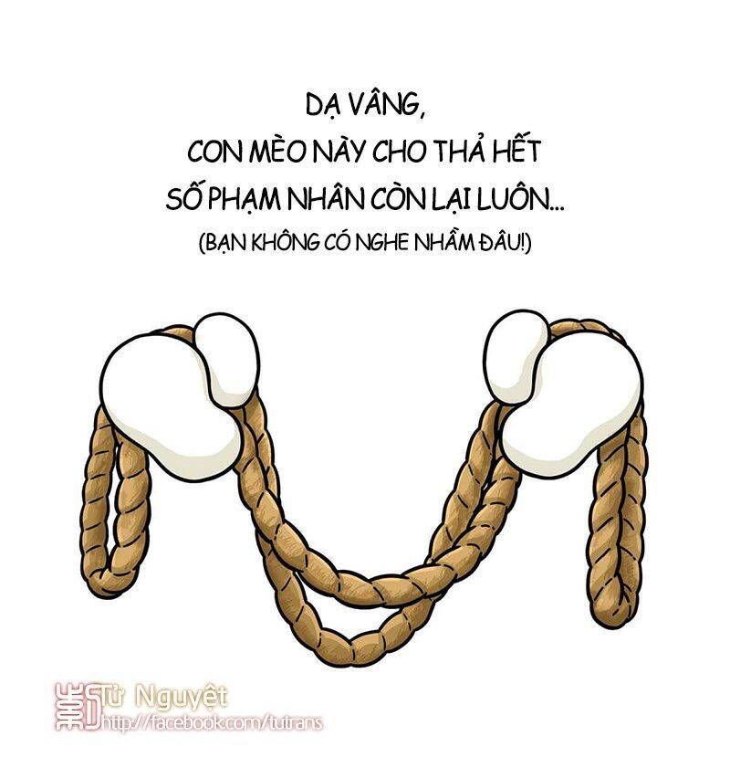 nếu lịch sử là một bầy mèo chapter 30 15
