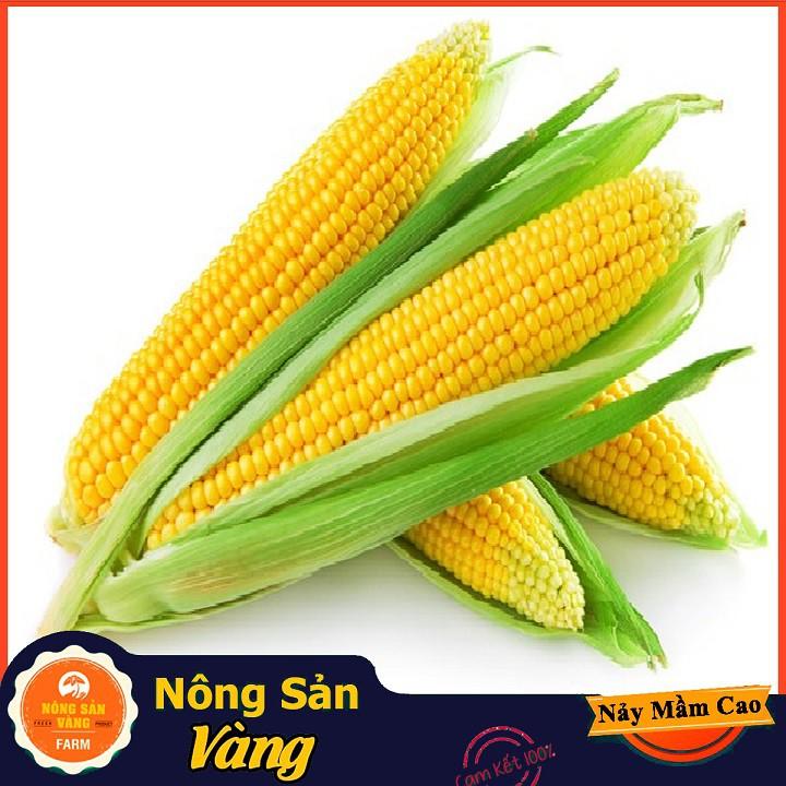 Hạt giống Bắp Mỹ (Ngô Mỹ) ( Gói 5 Gram ) - Nông Sản Vàng