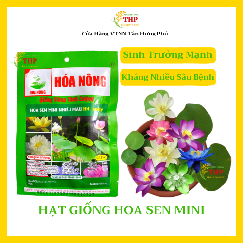 Hạt giống Sen Mini Nhiều Màu | Hạt giống | gói 5 hạt