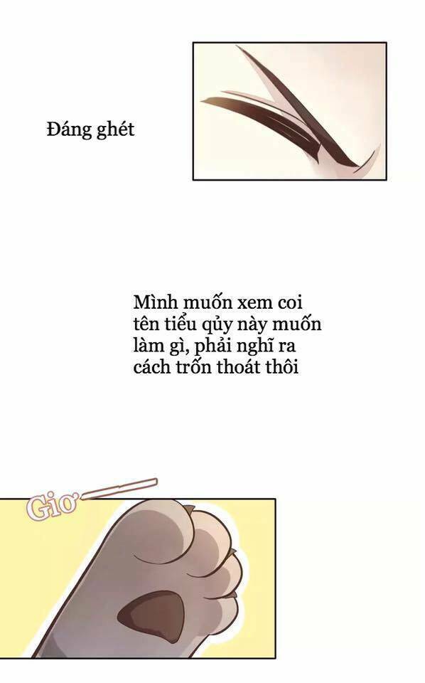 dưới móng vuốt mèo chapter 19 35