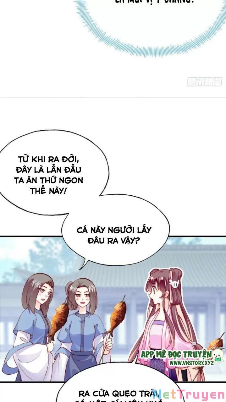 lại bị bệnh chiều chuộng quấn lấy chapter 34 10