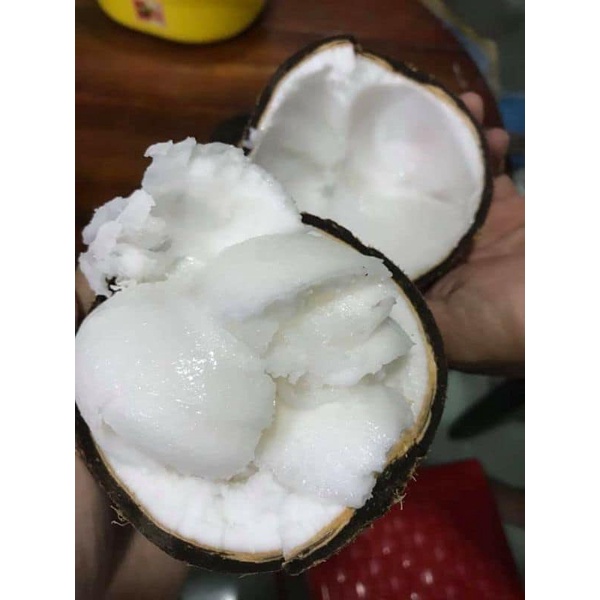 Dừa giống sáp đặc