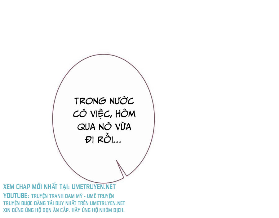 lại bị nam thần chọc trên hot search! chapter 71 15