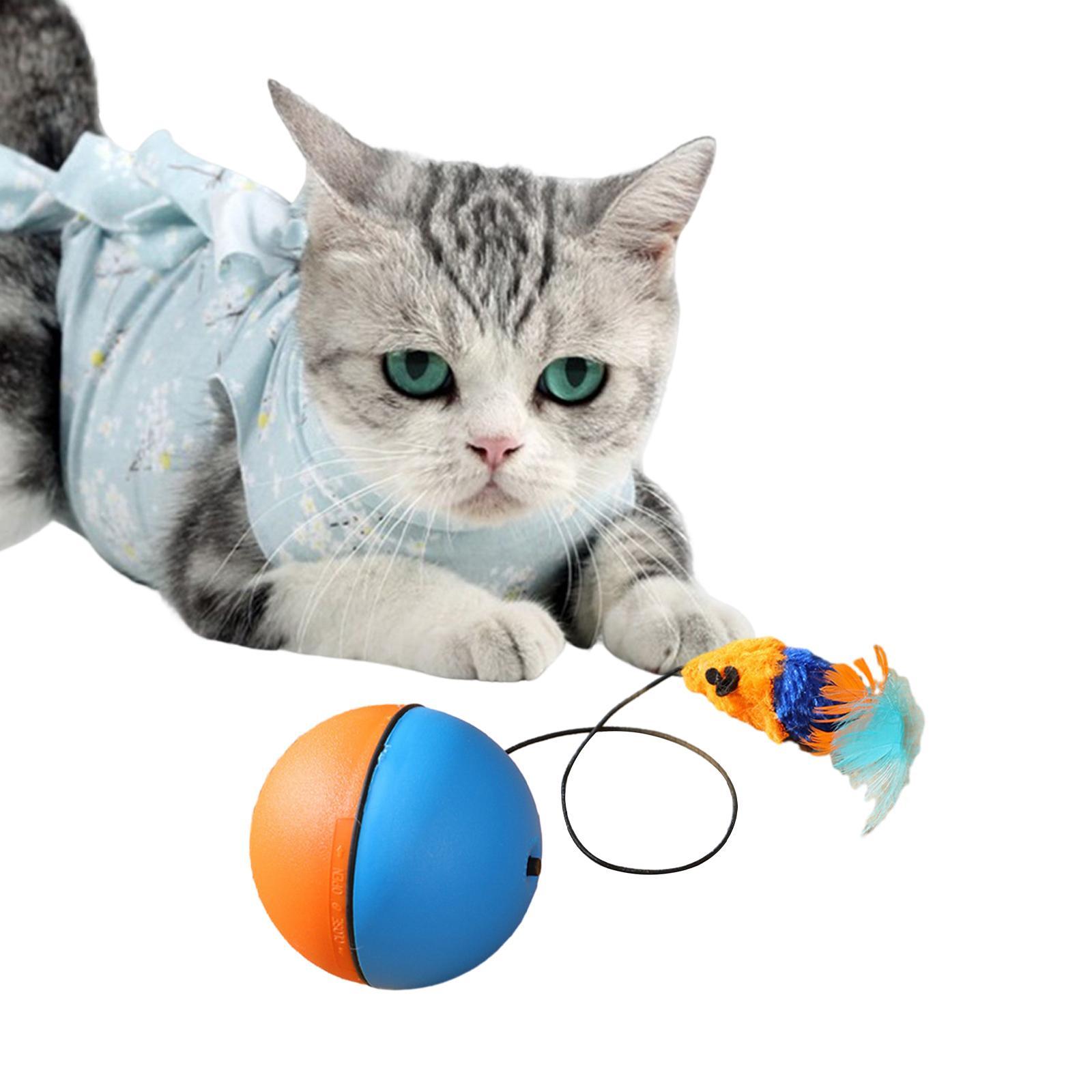 Interactive Toy Interactive Cat Toys Ball Teaser Toys Catcher Toy Feather Toy Electric Cat Balls for Cats Exercise