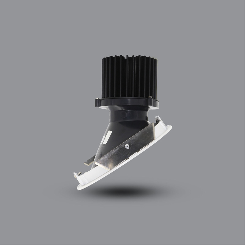 ĐÈN LED DOWNLIGHT CHIẾU TRANH 20W ÂM TRẦN PRDZZ157L20