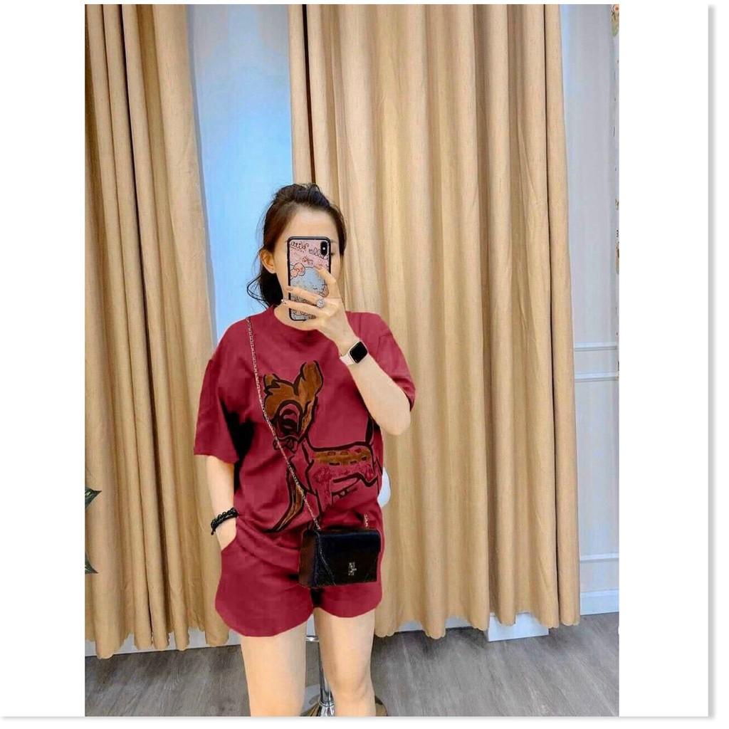 SET BỘ THUN NGẮN HỌA TIẾT XINH XẮN THÍCH HỢP CHO CÁC BẠN NỮ ĐI DẠO PHỐ,ĐI CHƠI... THỜI TRANG VINA 1HIT FASHION