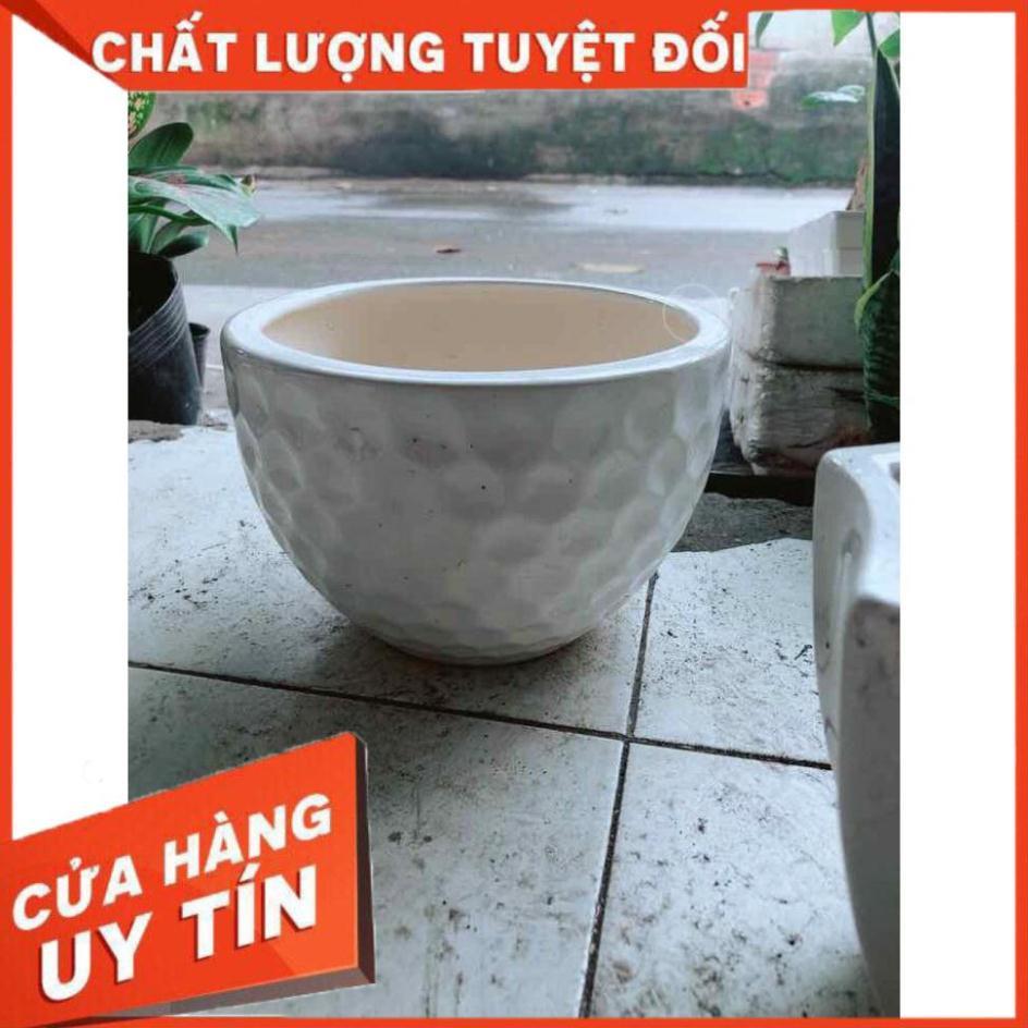 Chậu Trồng Cây Nhiều Người Mua