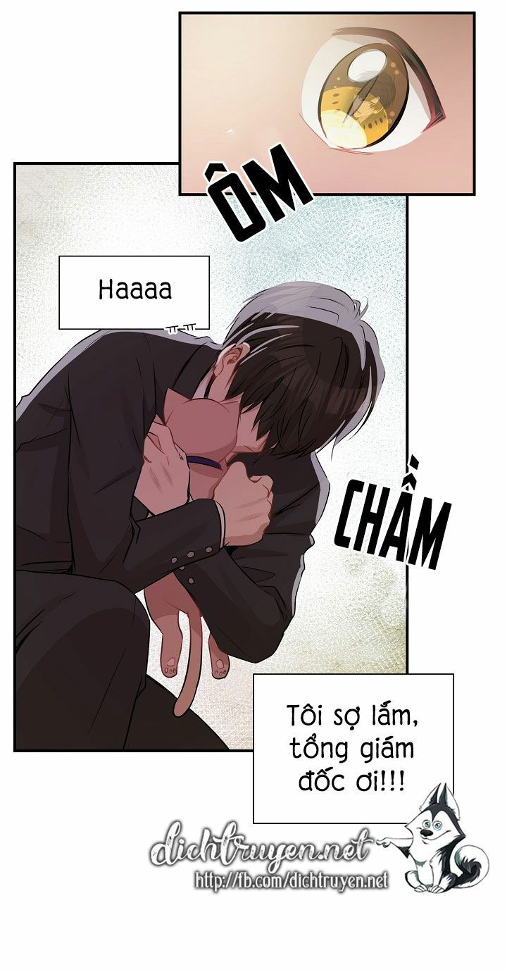 cuộc sống kỳ thú chapter 26 42