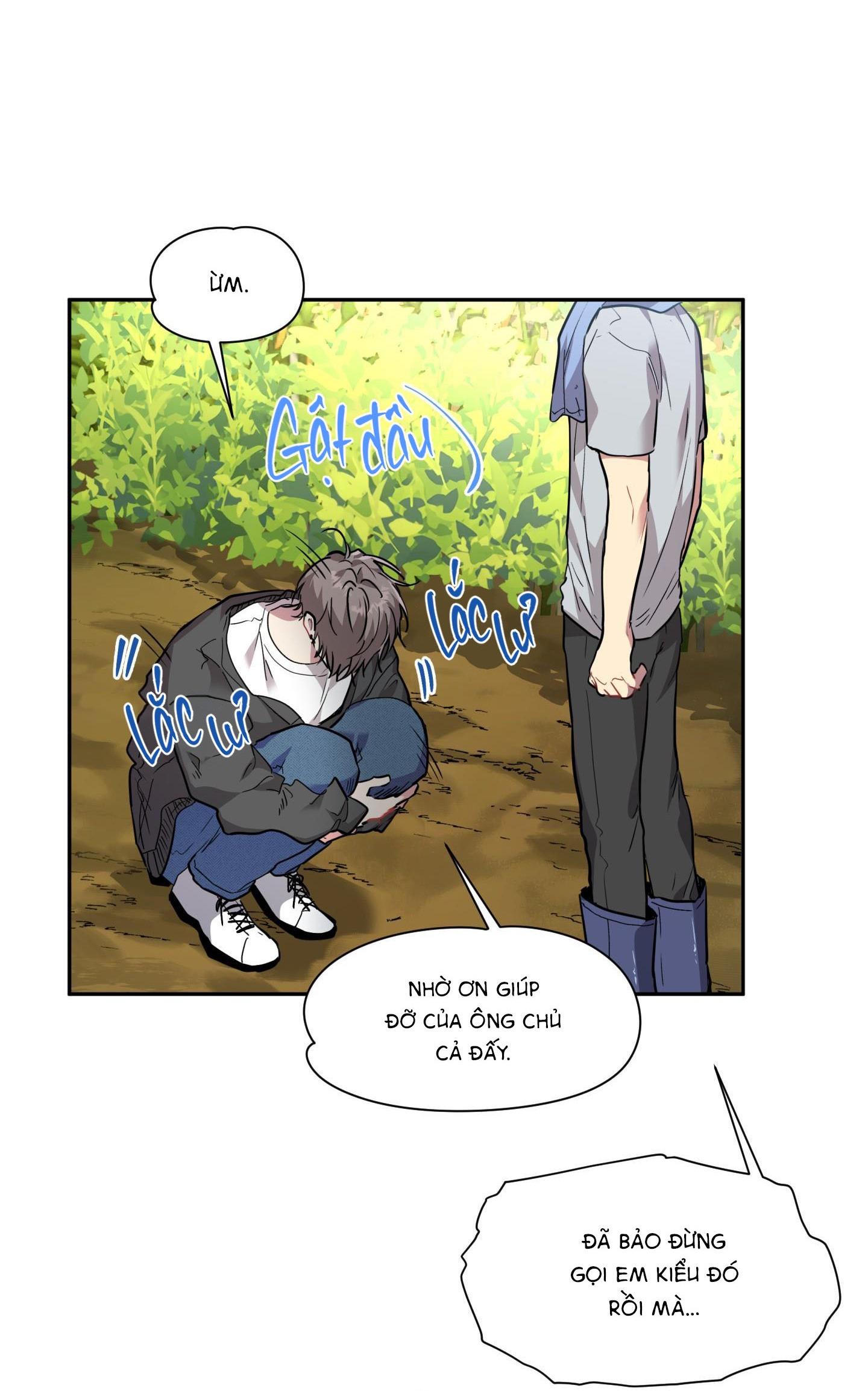 vị khách từ căn nhà phía sau chapter 4 5