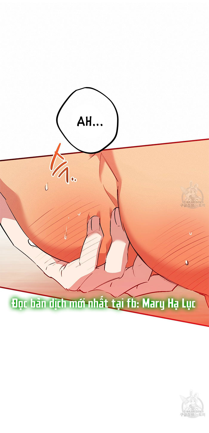 những chú thỏ của hapypy chapter 43 34