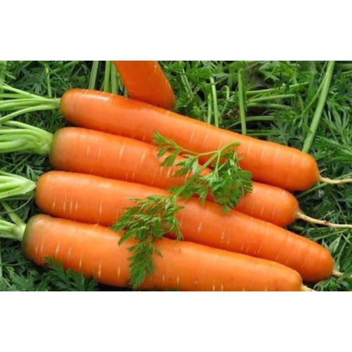 Gói 10 gr giống cà rốt