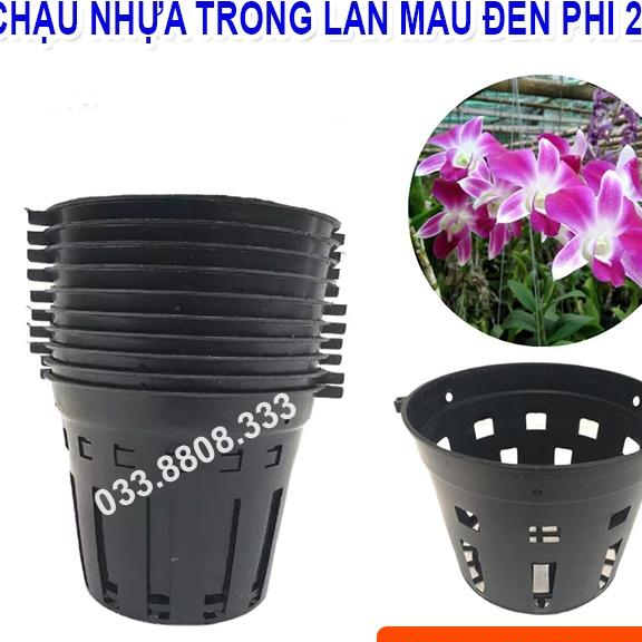 10 CHẬU NHỰA TRỒNG LAN PHI 21 - CHẬU BỀN ĐẸP. CHUYÊN TRỒNG LAN -VTNN - CTC