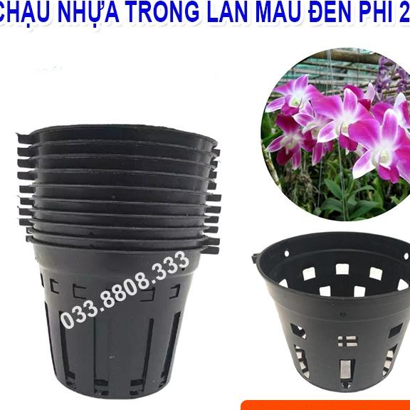 5 CHẬU NHỰA TRỒNG LAN ĐẸP PHI 21 - CHẬU BỀN ĐẸP. CHUYÊN TRỒNG LAN -VTNN - CTC