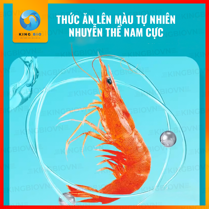 Thức ăn cân bằng dinh dưỡng cho cá Neon và các loại cá nhỏ khác - cám Yee Fish Food