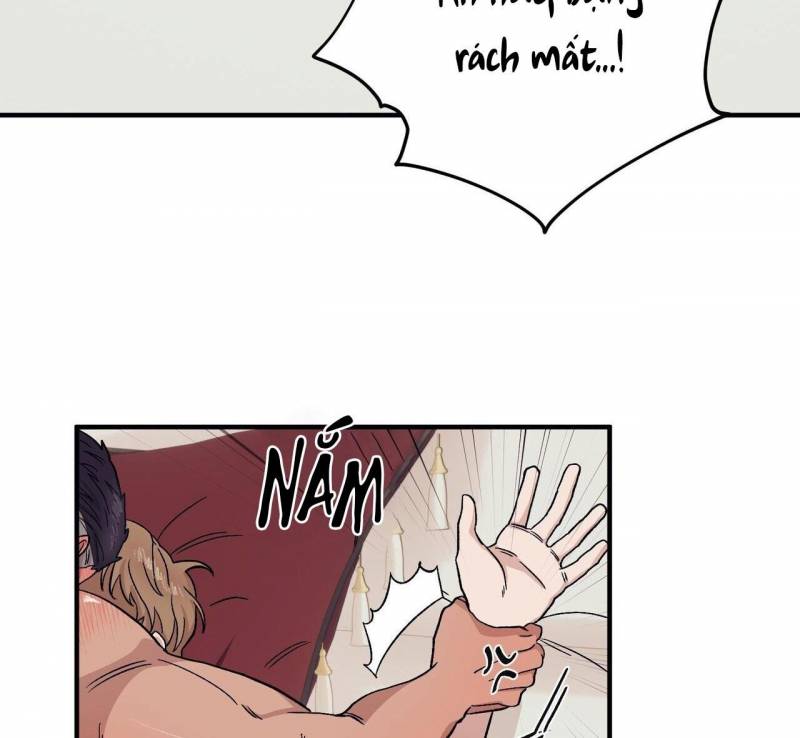 chàng dâu nhà họ kang chapter 50 91