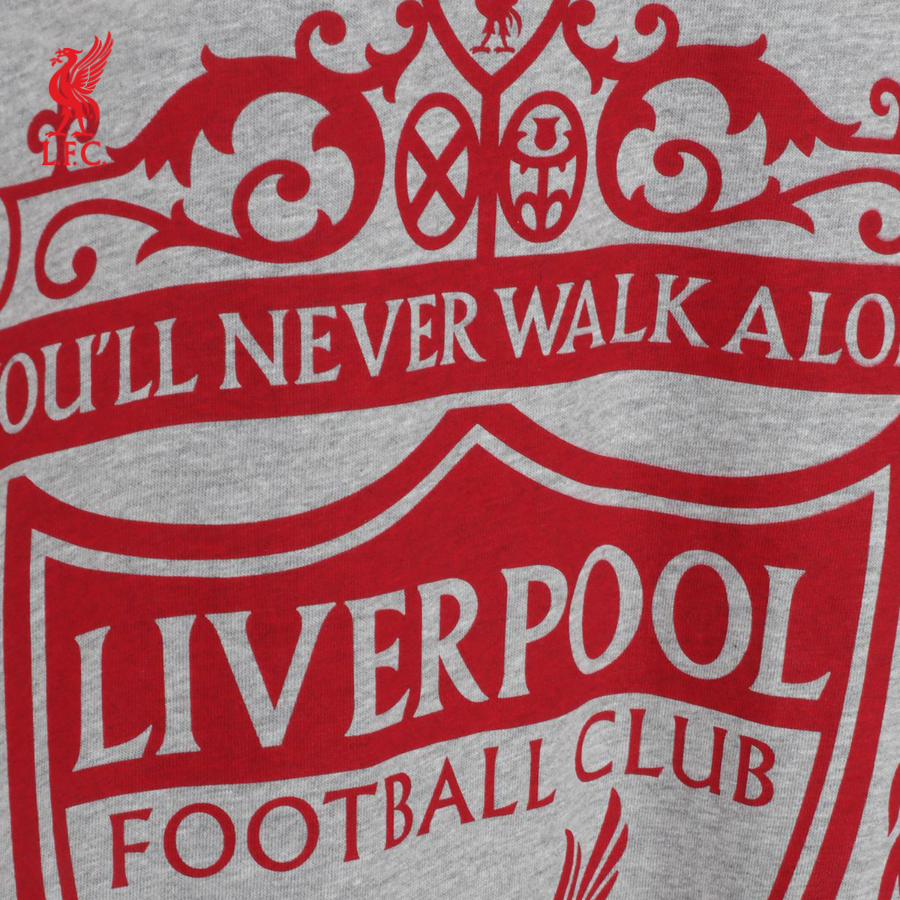 Áo thun tay ngắn thể thao nam LFC Crest - A15075