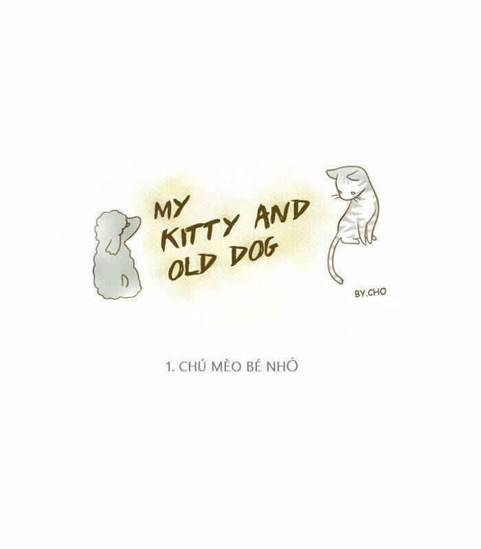 my kitty and old dog chapter 1 1