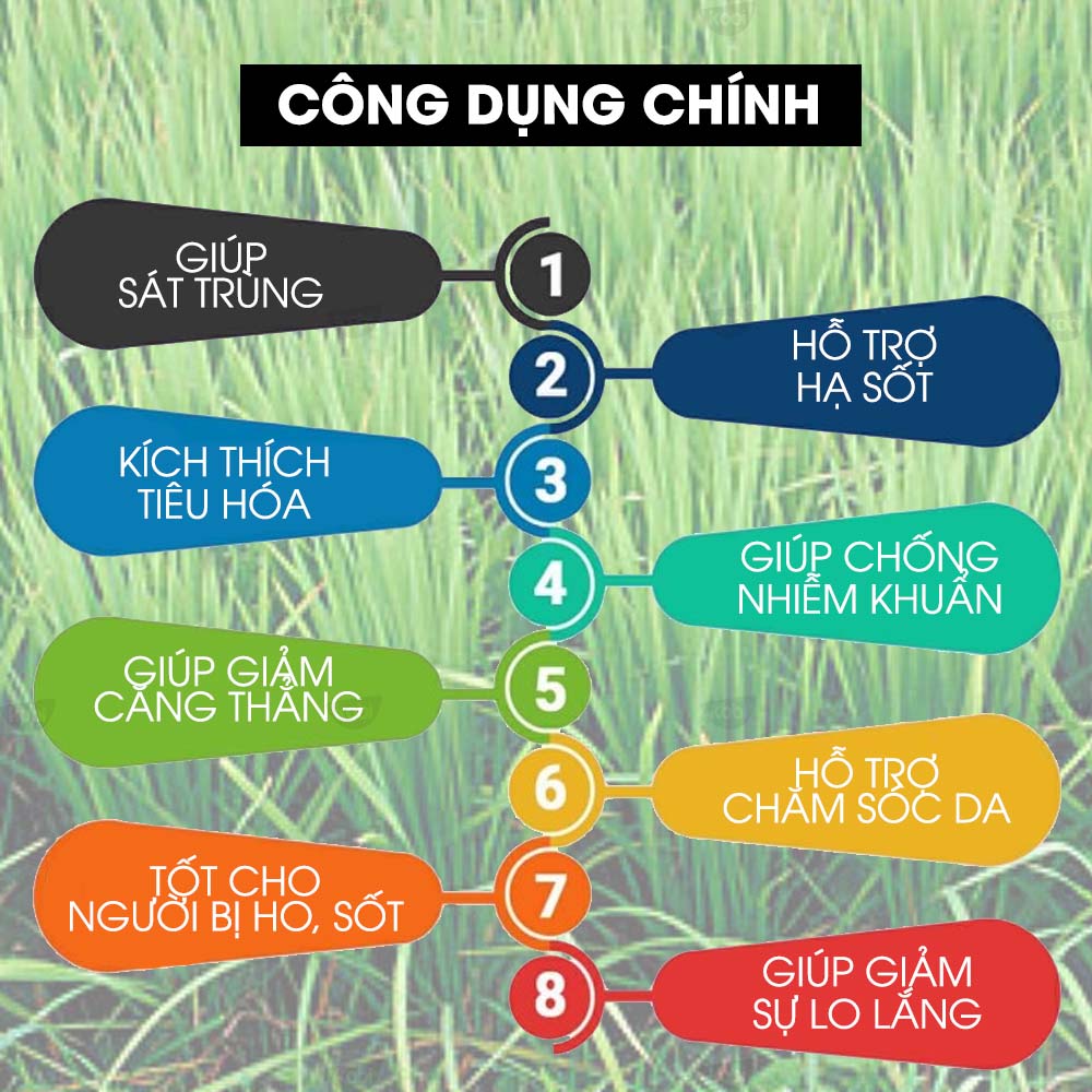 Tinh Dầu Sả Hoa Hồng Kobi Palmarosa Essential Oil Dùng Xông Phòng, Giúp Tăng Hưng Phấn, Thanh Lọc Không Khí Hiệu Quả - 5ml