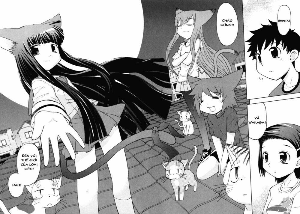 koi neko chapter 38 23