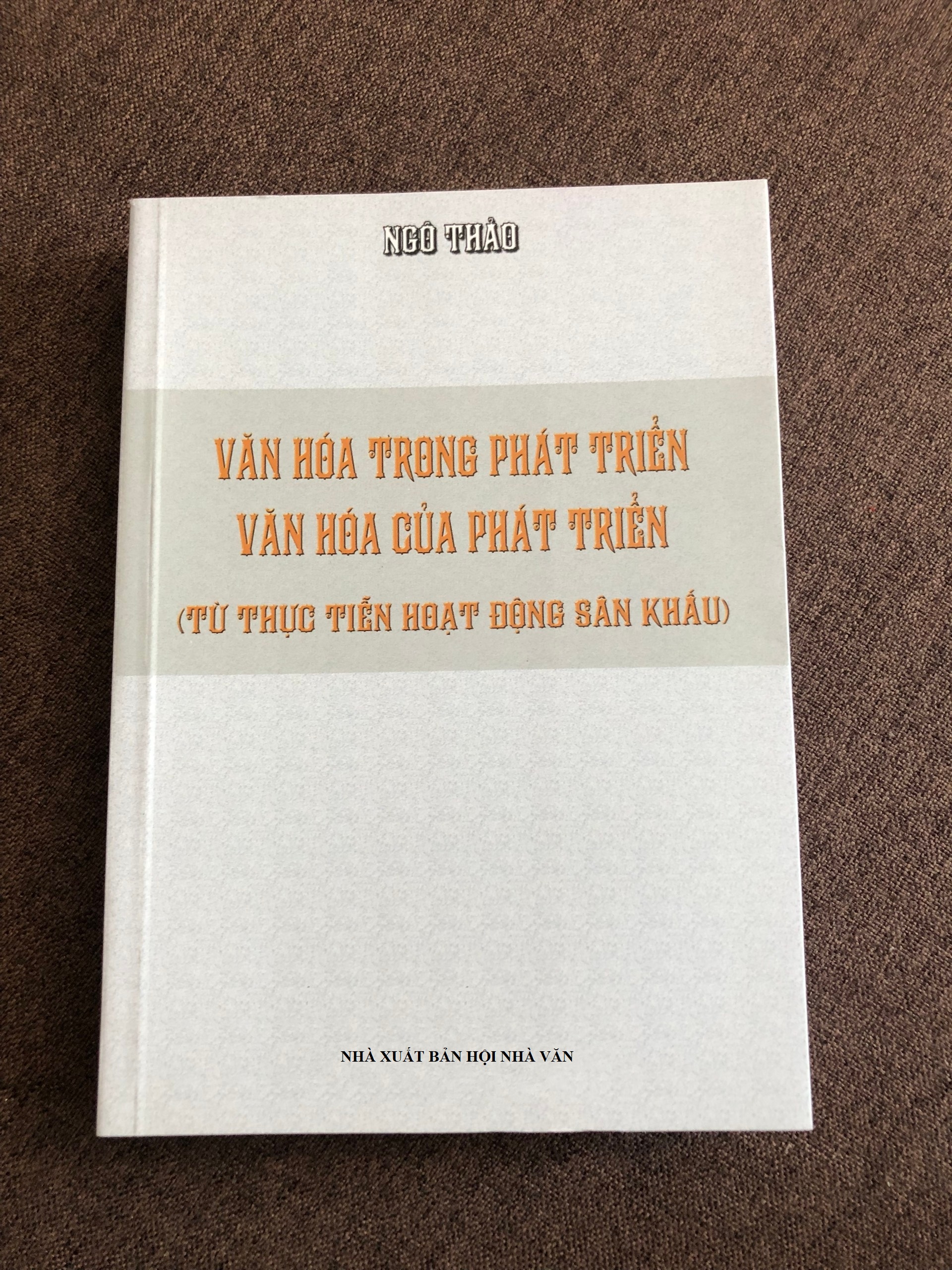 Văn hoá trong phát triển - Văn hoá của phát triển - Từ thực tiễn hoạt động sân khấu (Ngô Thảo)