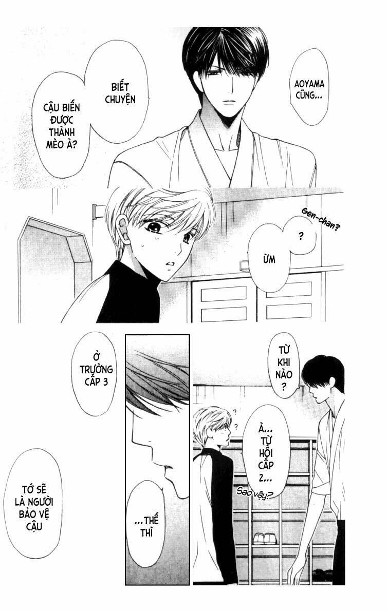 neko neko honey chapter 5 33