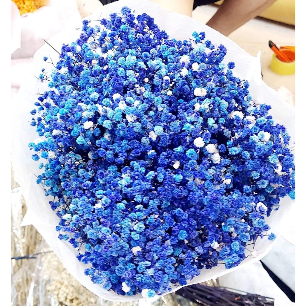 125G HOA BABY KHÔ CAO CẤP- HOA BẤT TỬ DECOR TRANG TRÍ, LÀM QUÀ TẶNG